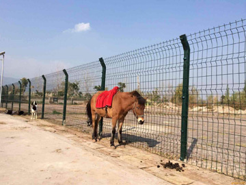 養(yǎng)殖場圍欄網(wǎng) 養(yǎng)殖場圍欄網(wǎng)