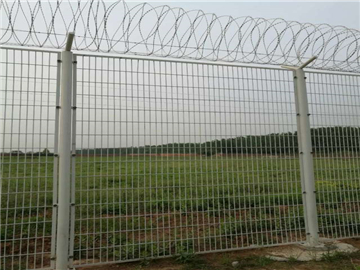 監獄隔離網 (19) 監獄隔離網 (19)