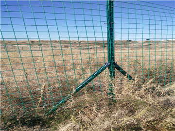 涂塑荷蘭網(wǎng)圍欄06 涂塑荷蘭網(wǎng)圍欄06