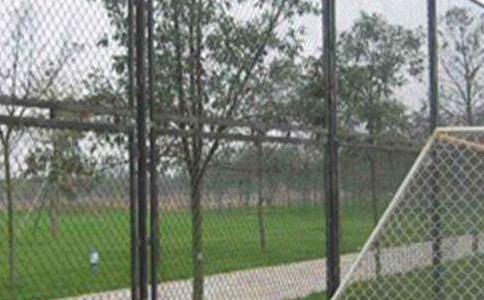 timg (23).jpg timg (23).jpg